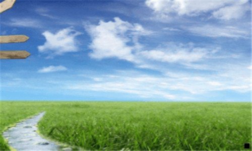 一花呗和信用卡支付宝商家手续费