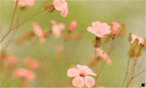 三在家兼职挣钱