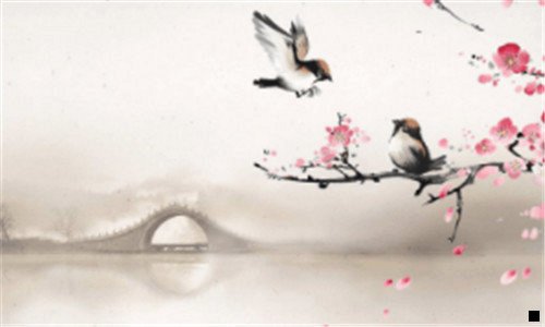 三健康管理师就是一场骗局