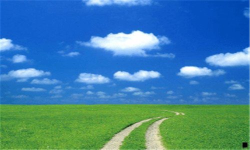 二藏在农村不起眼的暴利