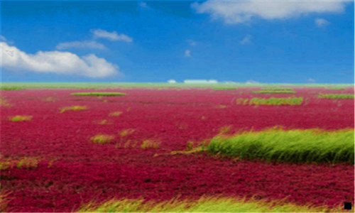 三安徽省总工会领导分工