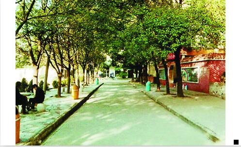 三黑色收入路子贴吧