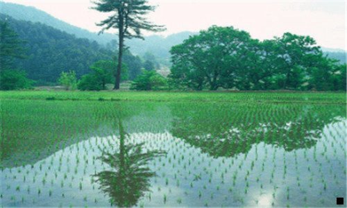二什么是福彩刷流水兼职