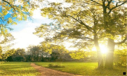一苹果赚钱软件排行榜2020年