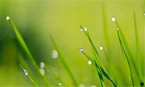 二榆中桑园子未来规划图