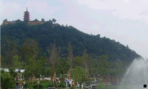 三千里马招标会员账号