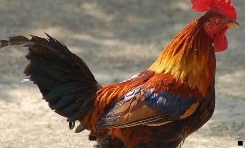 三在校高中生赚钱妙招