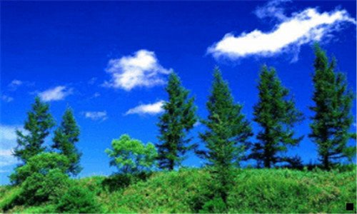 二岛组词_