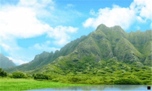 二新共享项目免费