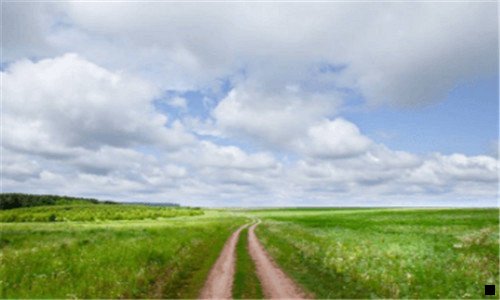 三怎样把花呗里的钱提出来