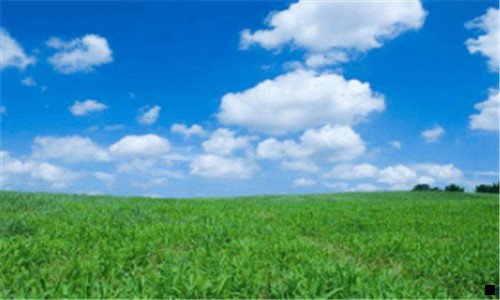 一商家怎么开通信用卡收款