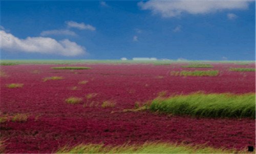三投资100每天收益3.24元