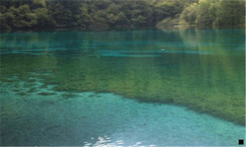 二空号检测软件 免费