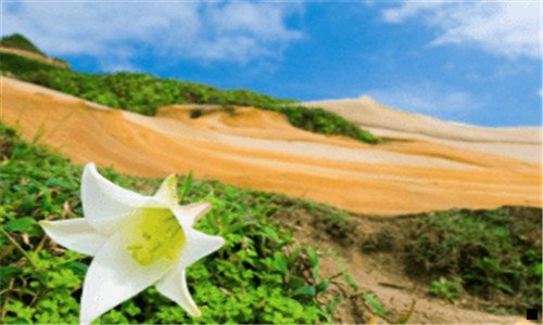 二加导师微信一天赚500