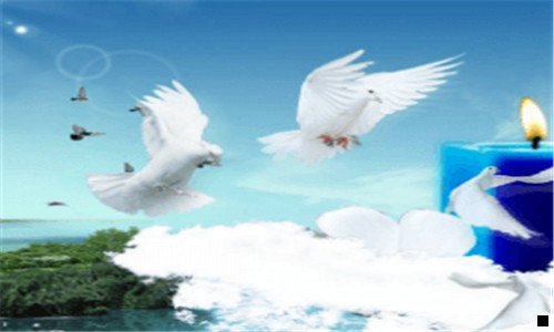 三八戒日付网手机版官方下载
