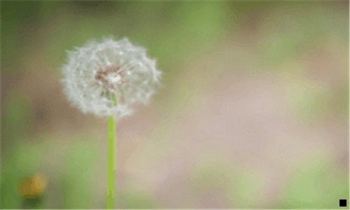 一听音乐赚零花钱的软件