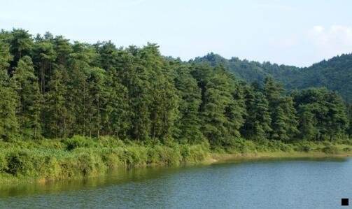 一看新闻每分钟赚200元
