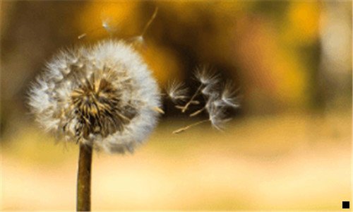二学生如何用微信赚零花钱