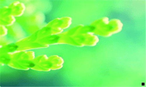 二彩票刷流水其实就是自购彩票
