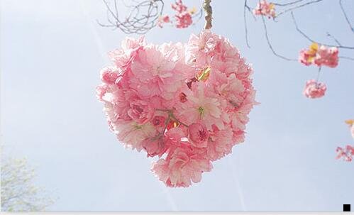 一支付宝刷流水赚钱有风险吗