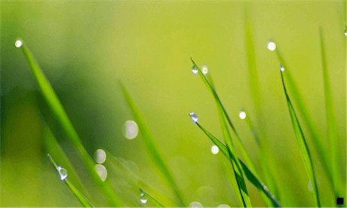 三努力挣钱的句子霸气