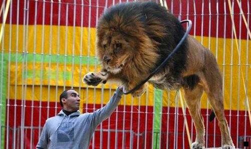 二猪肉摊一天赚多少钱