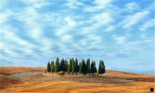一赚钱旅游公司