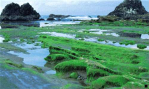 二问道2020赚钱攻略