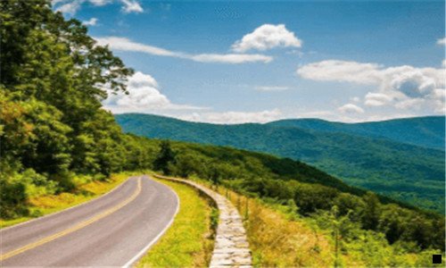 三新手养鸡怎么打销路