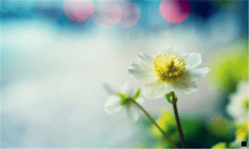 一和尚最赚钱