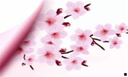 一赚钱的方向