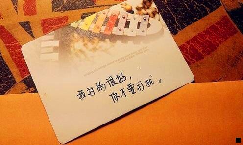 一竹妃赚钱