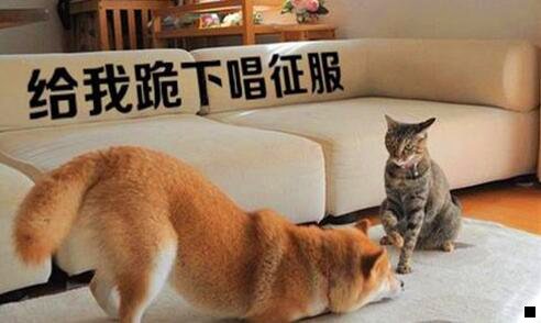 三自建内网迅雷服务器