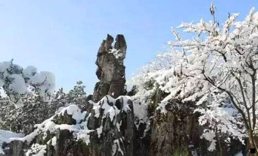二优酷网中国新一代视频平台