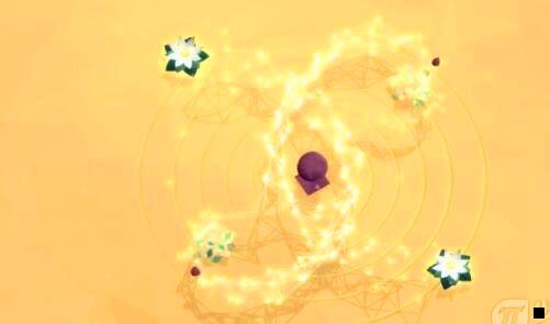 三芦笋