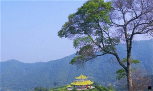 三未来50年最赚钱行业