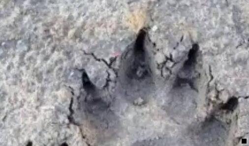 三地摊快消品