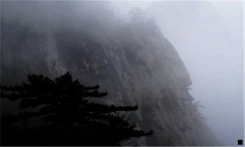 二30岁学什么技术不晚