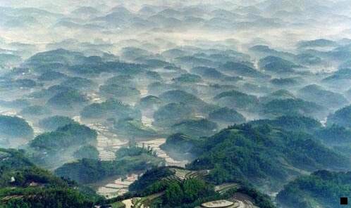 三糖油果子视频
