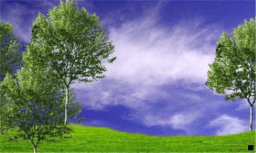 一荒野之息怎样赚钱