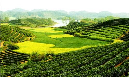 一赚钱群名字大全