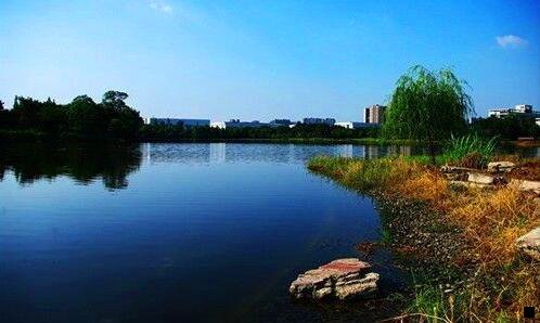 一女孩学点什么手艺赚钱