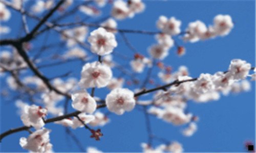 一学什么快又赚钱