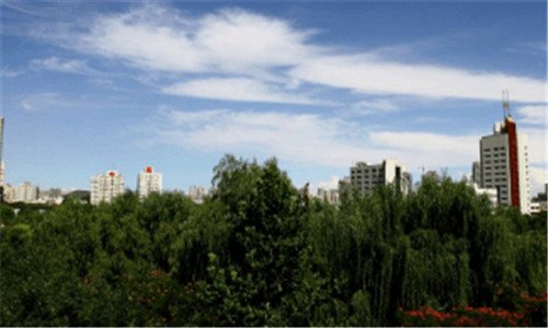 三在哪个城市打工赚钱