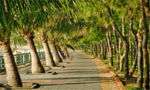 二专门跑顺风车赚钱吗