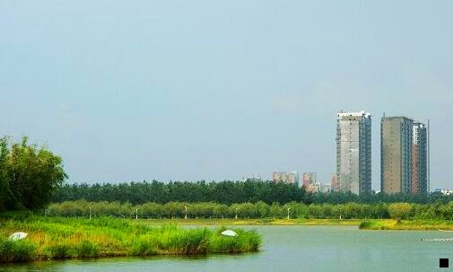 一巫师三赚钱