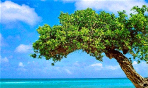 二梦幻西游手游小号赚金币攻略