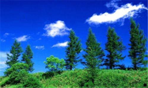 三安卓免费自动挂机赚钱