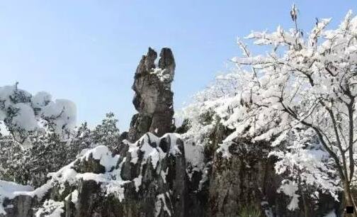 二饥饿鲨进化bug大全