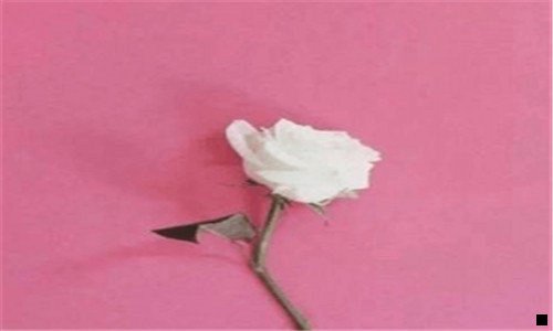 一农村最冷门的暴利行业